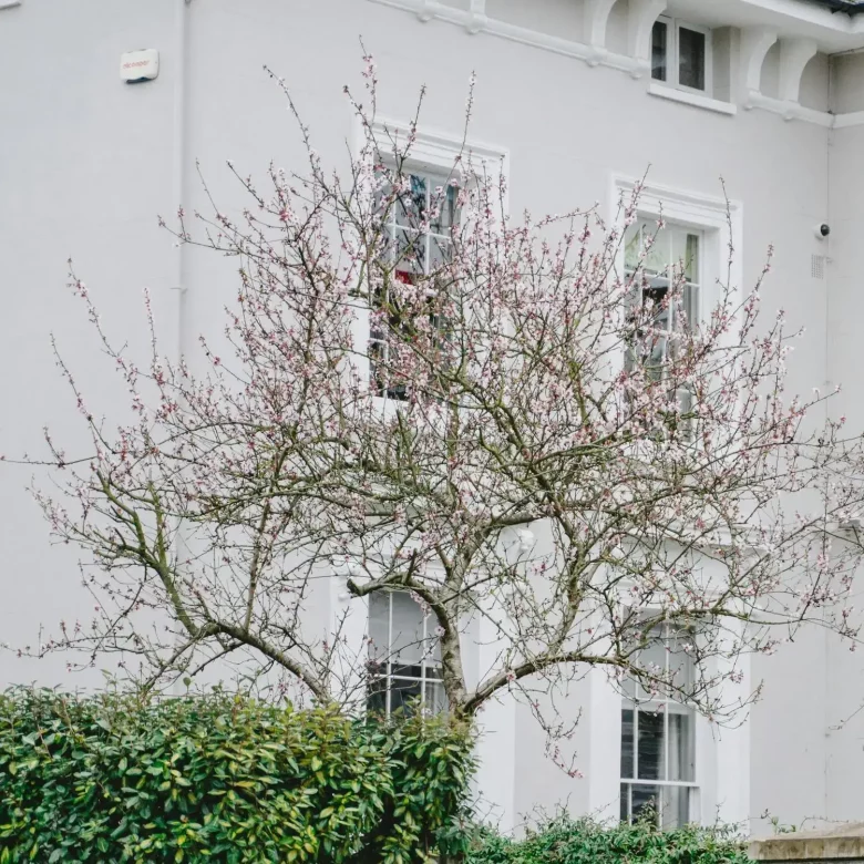 fundacja rodzinna a inwestowanie w nieruchomości ograniczenia i konsekwencje podatkowe