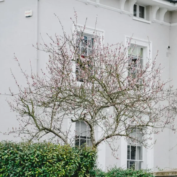 fundacja rodzinna a inwestowanie w nieruchomości ograniczenia i konsekwencje podatkowe