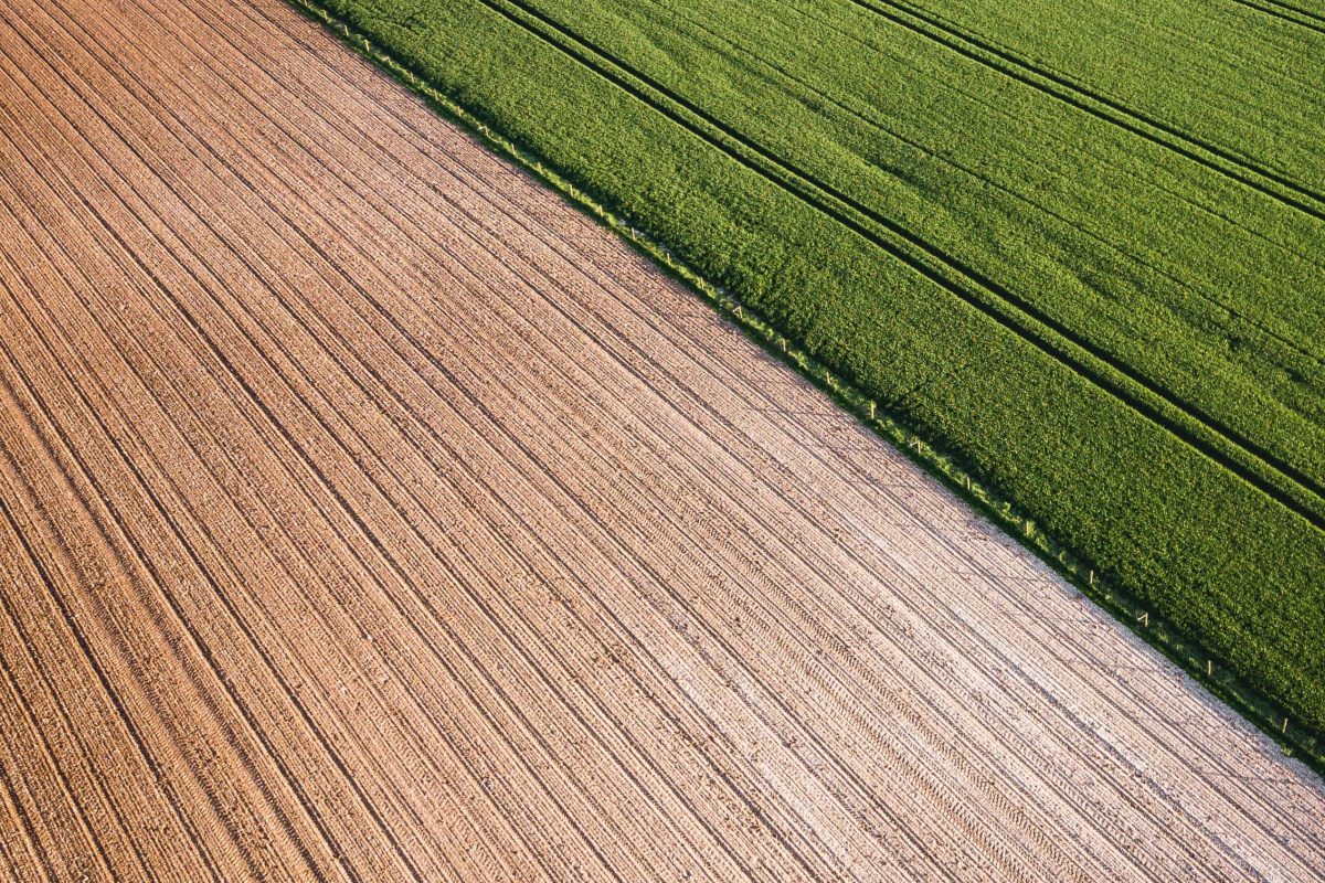 nieruchomość rolna