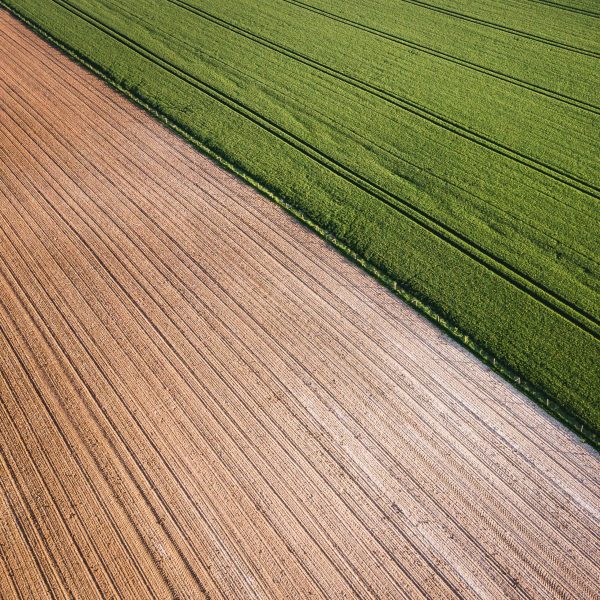 nieruchomość rolna