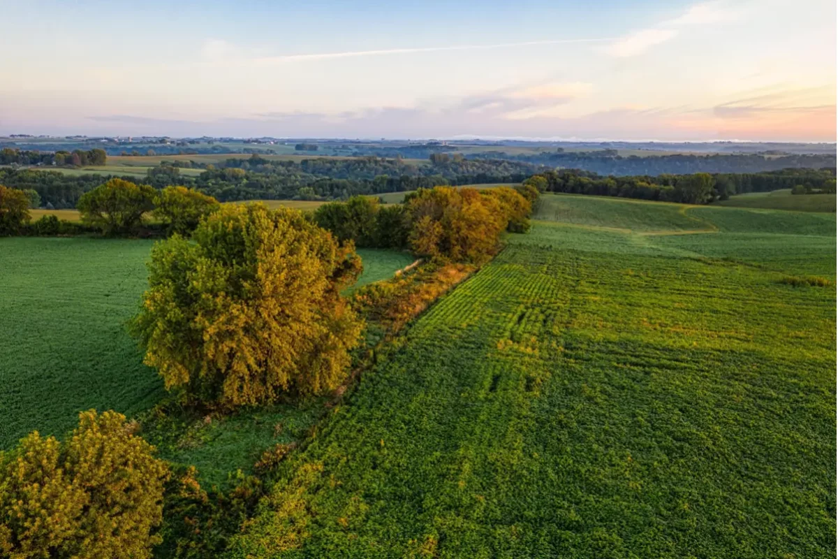 Widok z lotu ptaka na grunty rolne, które zostały wyłączone z produkcji rolnej.